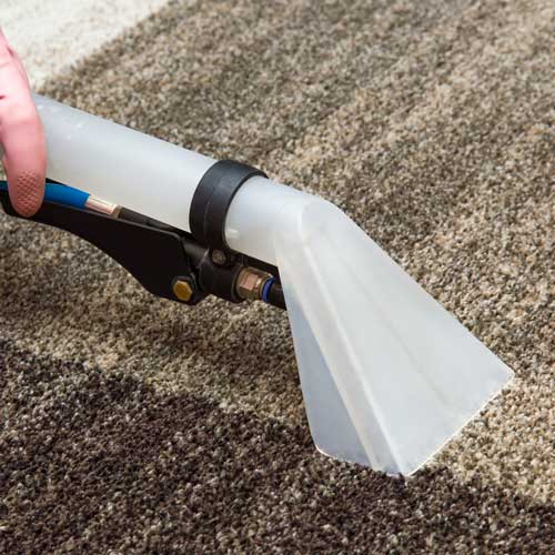 Carpet cleaning | Buckway Flooring