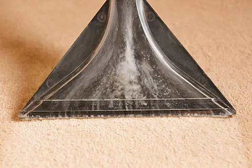 Rug care | Buckway Flooring